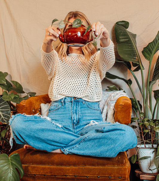 Growing Greener with Grace- Beginner's Guide to Indoor Gardening