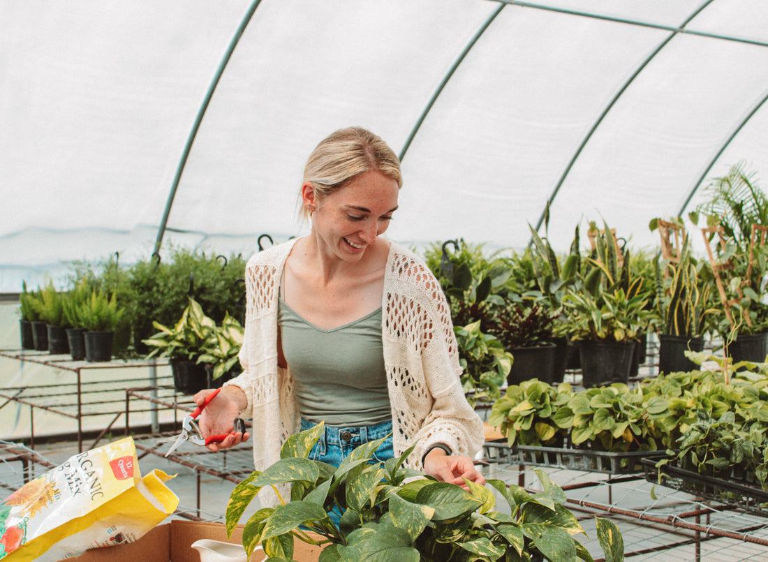 Growing Greener with Grace - Get to Know Grace