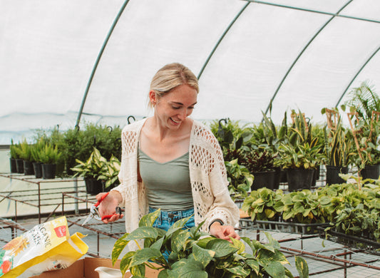 Growing Greener with Grace - Get to Know Grace