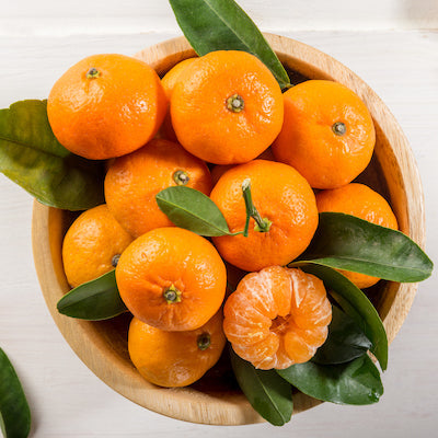 Shop Citrus Trees