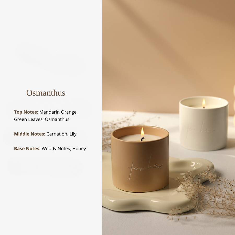New Ceramic Mug Nordic Minimalist Style Premium Plant Essential Oil Scented Soy Wax Candle, Aromatherapy Scented Candle for Home Décor, Gift Decoration, Relaxing Ambience